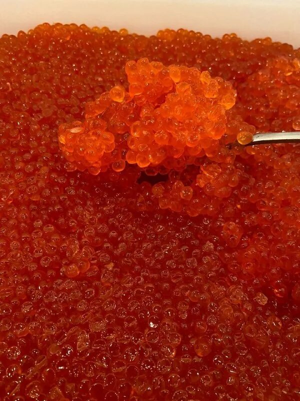 куботейнер с икрой. икра caviar premium красная горбуша. рынок икра. камчатская икра кета. икра кижуча камчатка.