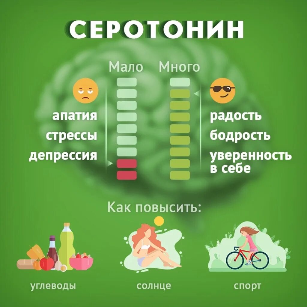 Сколько надо выработать. Серотонин гормон радости. Гормон повышающий настроение. Выработка гормонов счастья. Серотонин гормон счастья вырабатывается.