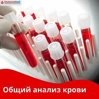 Фото: Иммунотест, медицинская лаборатория, Алматы, ул. Магаза Масанчи, 23/8 - Ян