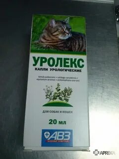Уралекс