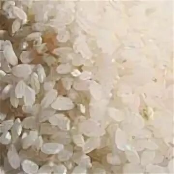 Цельный рис и дробленый рис. Астрахань рисовые поля. Рис астраханская область. Рис астраханская область. Рис астраханская область.
