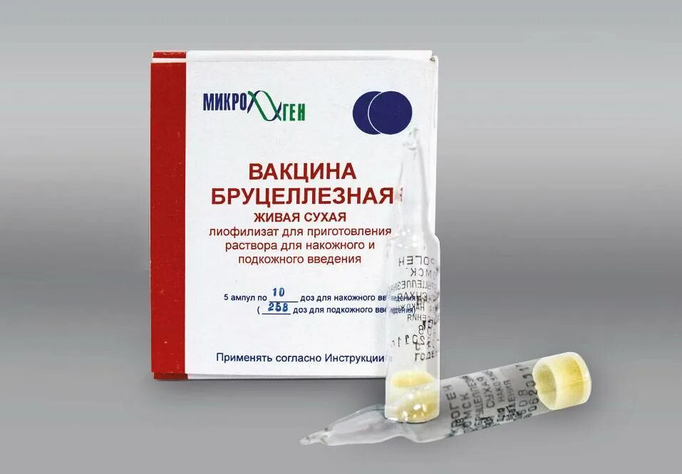 Живая бруцеллезная вакцина. Живая вакцина против бруцеллеза. Вакцина от бруцеллеза КРС. Вакцина для профилактики бруцеллеза.