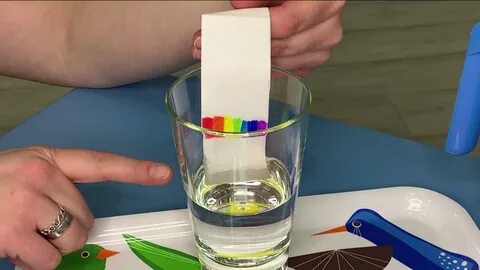 Опыты на 2