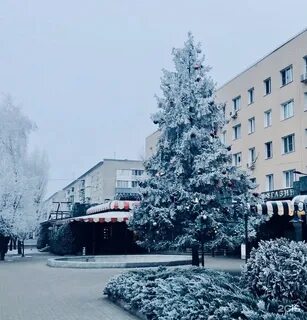Патриотов 24