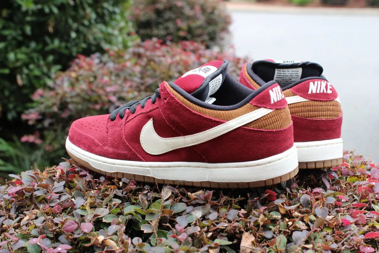 Nike SB Dunk Low. Nike Dunk Low Team Red. Nike SB Dunk Low красные. Nike кроссовки Dunk Low SB. Кроссовки найк sb dunk