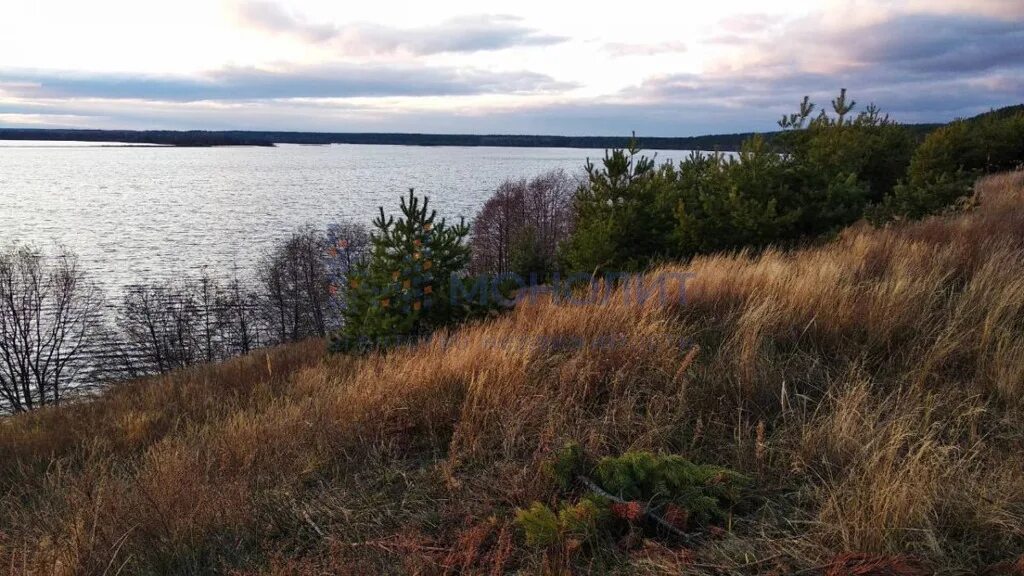 Фокино воротынский район нижегородская область. Разнежье Воротынский район. Михайловское Воротынский район Нижегородская область. Воротынский районе Нижегородской области село Рознежье. Ахпаевка Воротынский район.