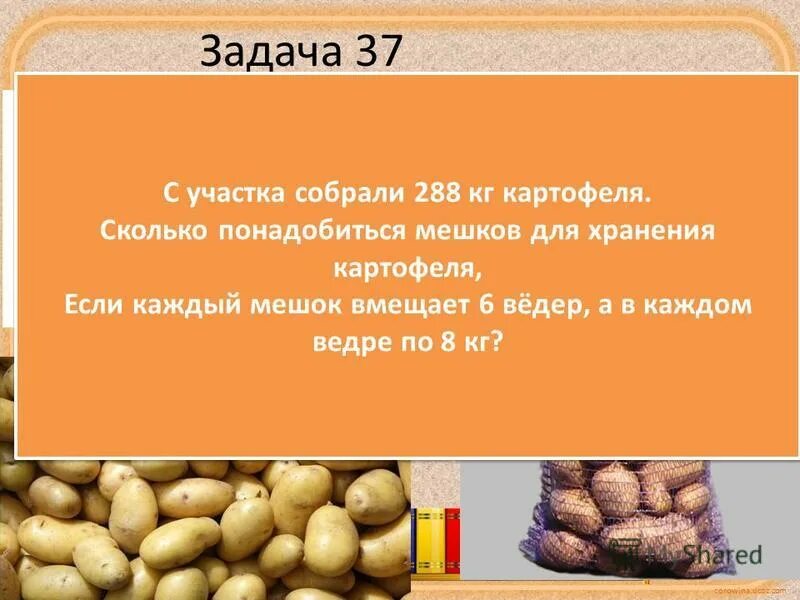 Килограмм картошки. Задача про картофель. Мешок картошки 50 кг. Сколько собрали картофеля.