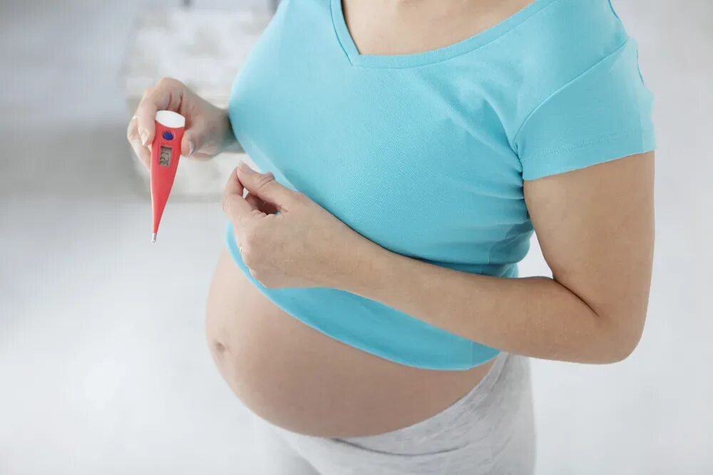 Беременность и заболевания матери. Термометрия беременных. Тело беременных. Температура беременной.