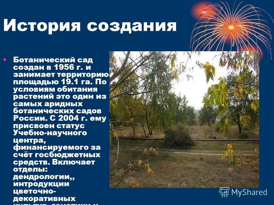 Культурные растения сада. Искусственные природные сообщества парк. Сообщение про сад. Сообщение про сад. Растения и животные сада.