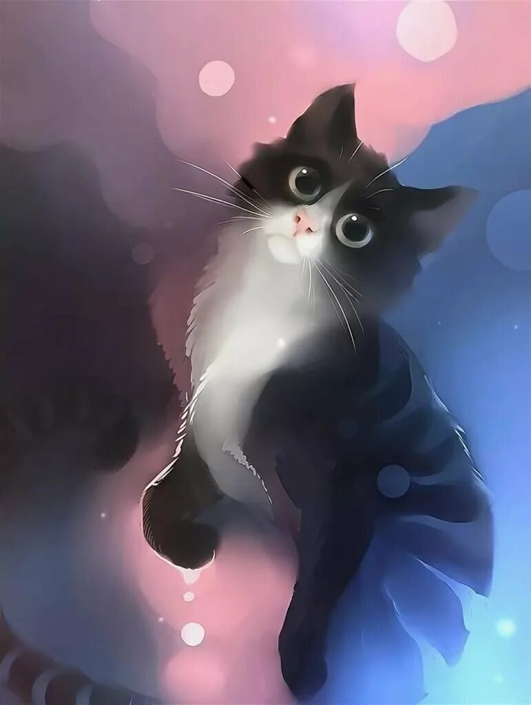 Красивые рисунки милых котиков
