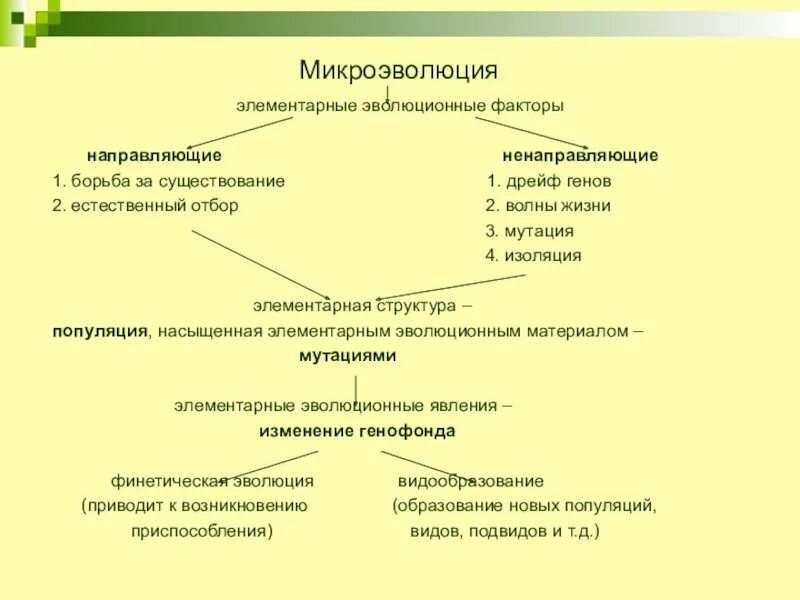 Микроэволюция приводит к образованию новых. Элементарные эволюционные факторы. микроэволюция образование новых видов. элементарные факторы эволюции естественный отбор. главные направления эволюционного процесса.