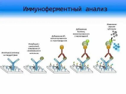 Иммуноферментный анализ