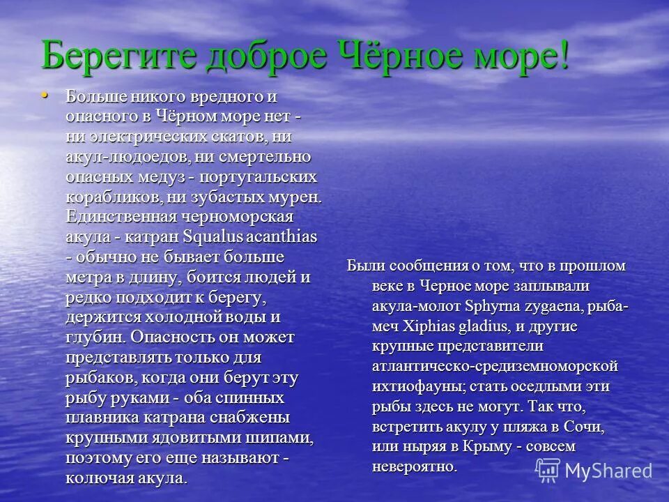 Решение проблем черного моря. Экология черного моря. экологические проблемы черного моря. пути решения экологических проблем черного моря. экологические проблемы черного моря кратко.