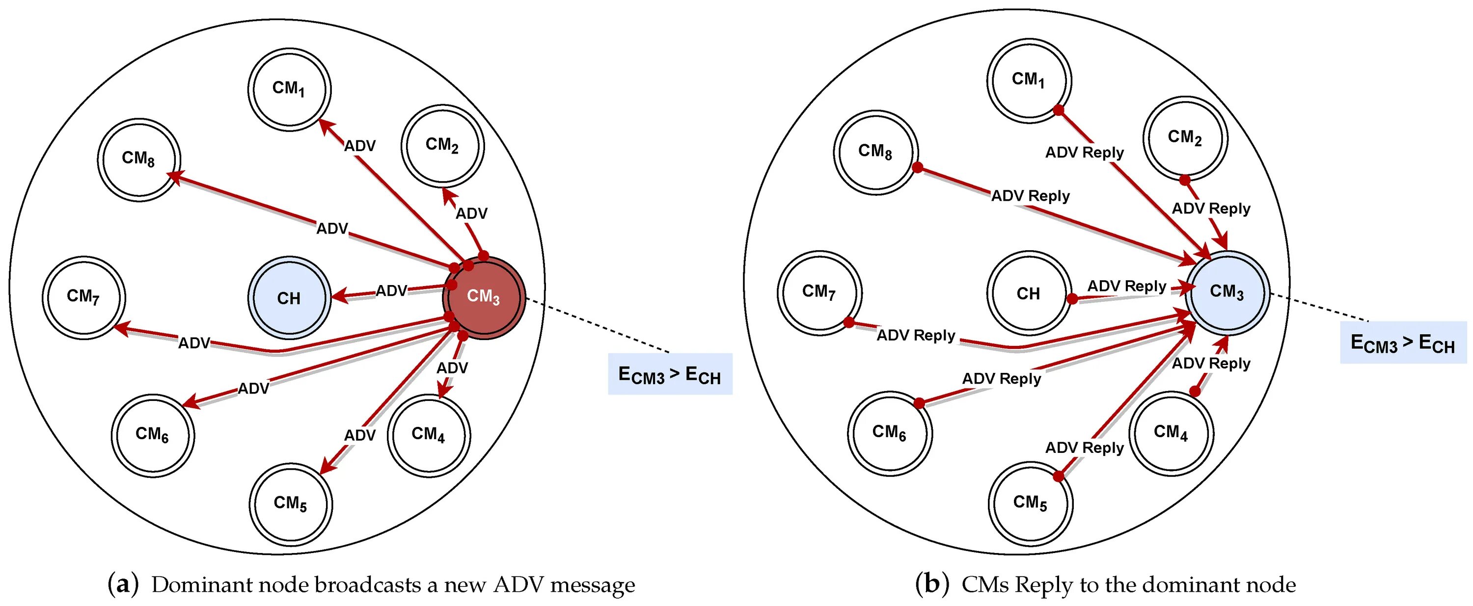 Cluster algorithm