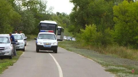 Погода раздоры волгоградской