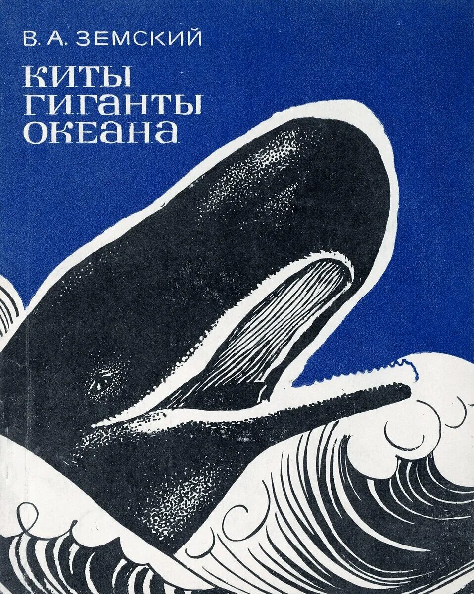 Книга про кита. Книга о китах. Книги про китов. Книги про китов для детей. Советская книга про китов.