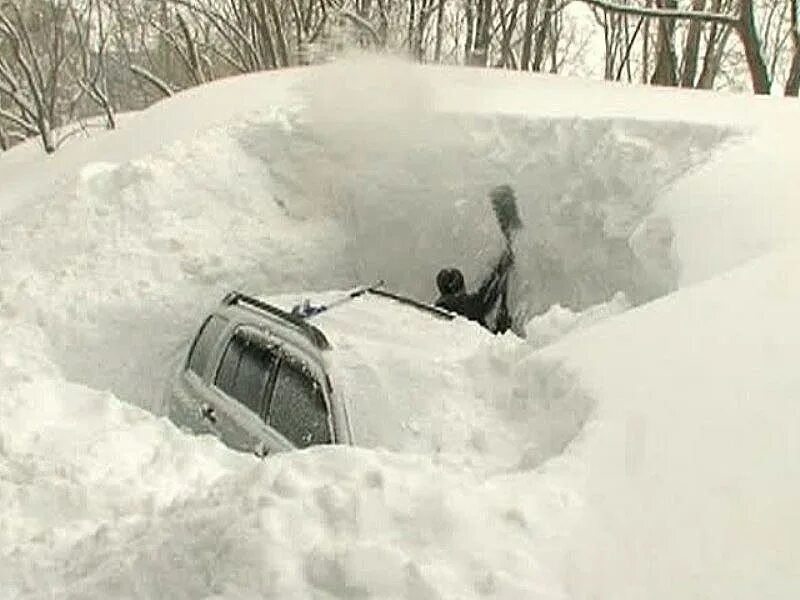 Откопала или откапала. Откапывает машину из снега. Машина в сугробе. Машина в снегу откапывают. Машину засыпало снегом.