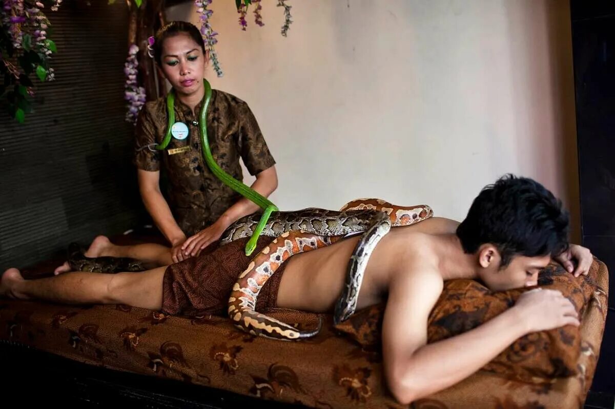 Муж змея жена. Экзотический массаж змеями. Девушка змея.