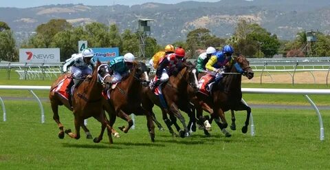 Horse race betting