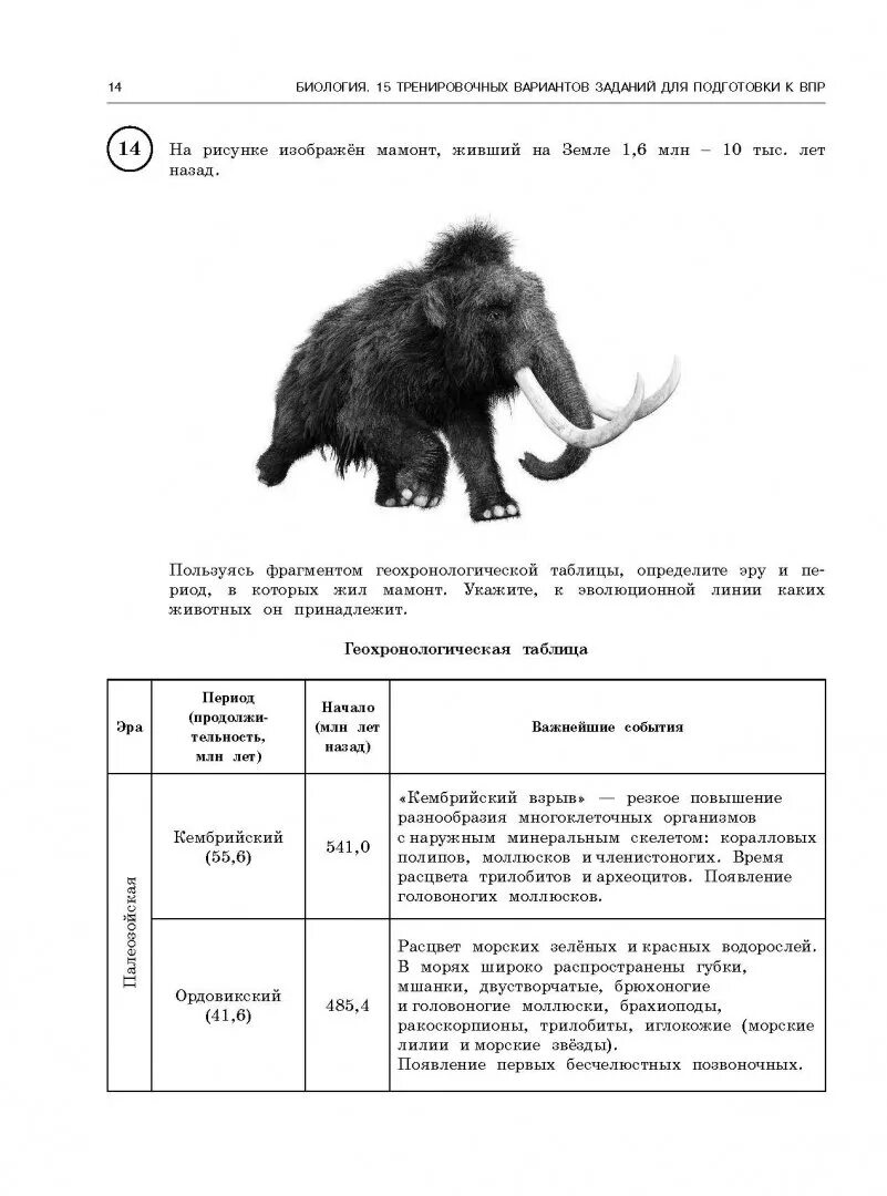 Впр по биологии 9 вариант. Подготовка к ВПР биология. ВПР по биологии. Подготовка к ВПР 7 класс биология. ВПР биология 5 класс.