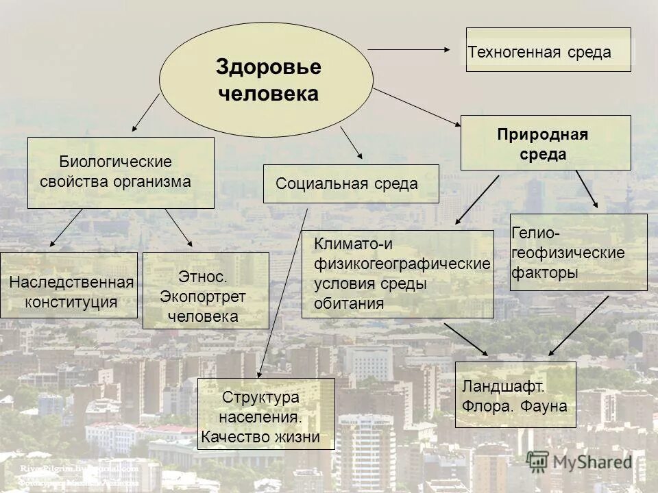 техногенная среда человека. техногенная среда человека. антропогенное воздействие на природу. здоровье человека обусловлено. окружающая природная среда.