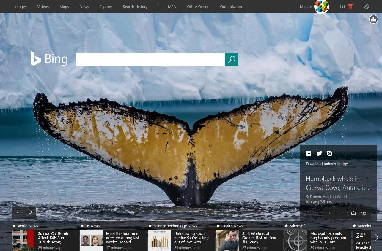 Bing имя. Bing Поисковик. Microsoft Bing. Bing браузер. Bing картинки.