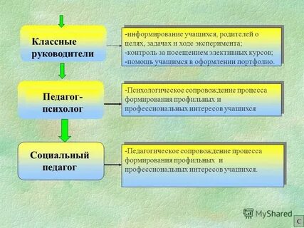 В информировании обучающихся