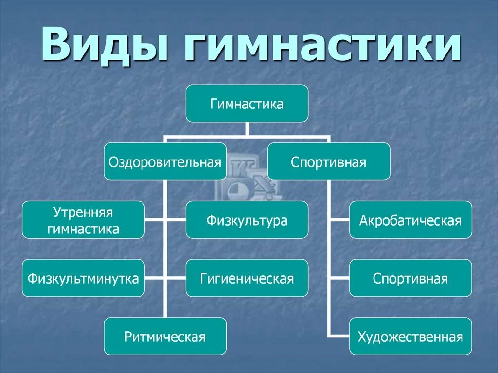 Виды гимнастики и их краткая характеристика