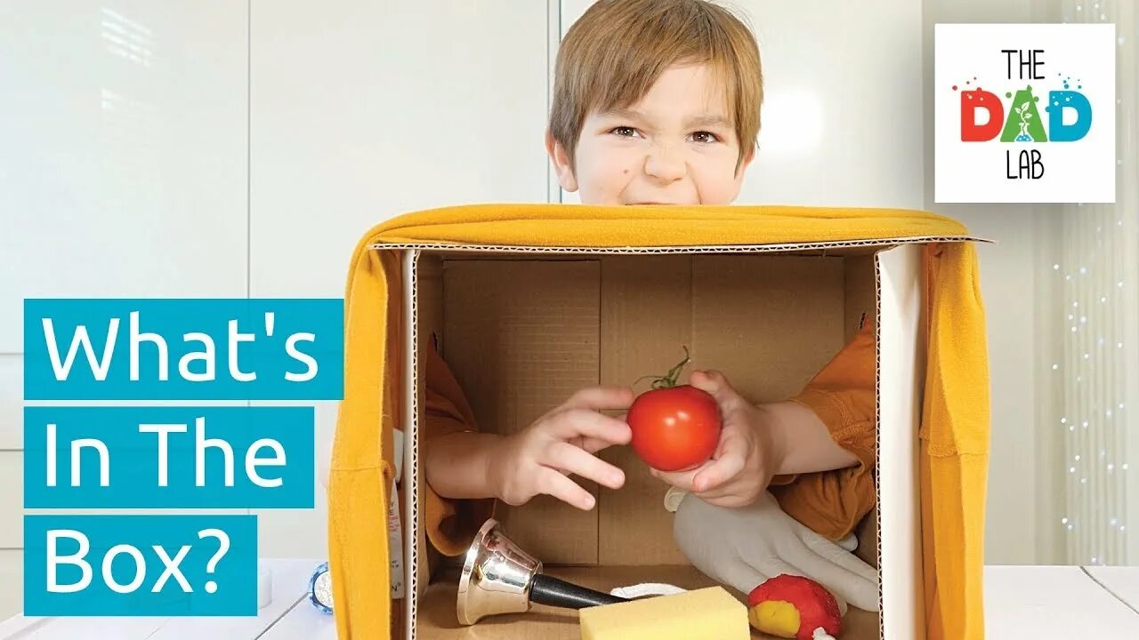 What is in the box. Sensory box. what&#039;s inside the box. peek-a-boo box. mystery box kids.