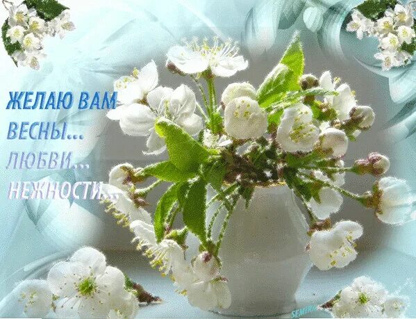 Доброе утро весеннего настроения здоровья. Пожелания с добрым весенним утром. Весенние пожелания. Открытки с добрым утром весенние. Доброе утро Весеннее настроение.
