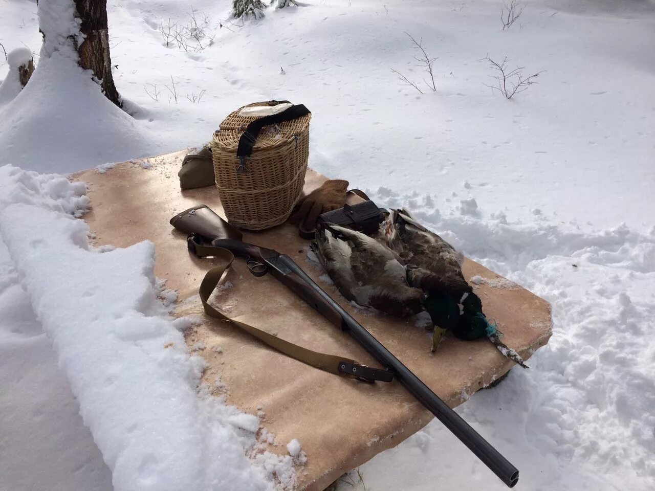 Плотик для подсадной утки. Подставка для подсадной утки. ногавка для подсадной утки. ящик для подсадной утки.