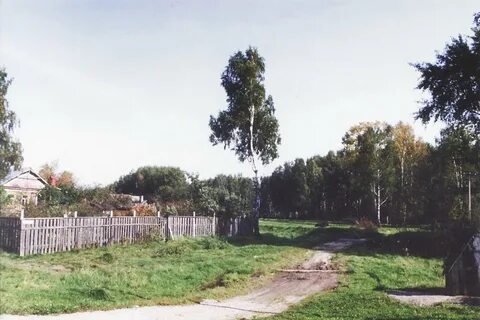 Куркино шаховская
