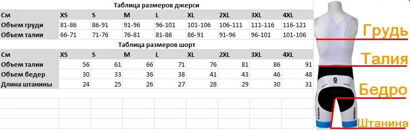 Соотношение шортов. 2хл мужской размер шорты. 2xl мужской размер шорт. 46 Размер шорт таблица размеров. Размеры шорт мужских таблица Россия.