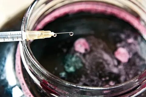 Цвель