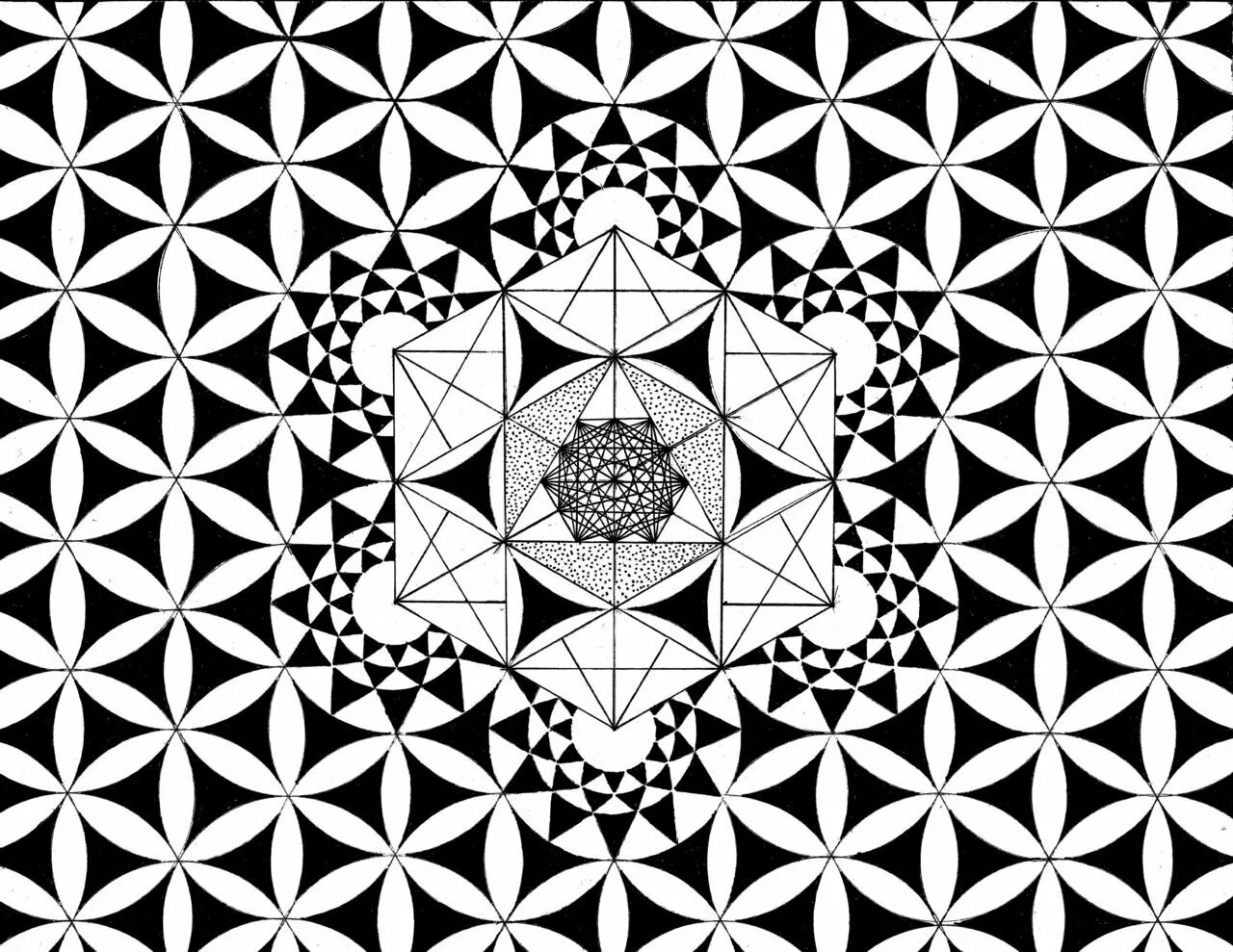 Паттерны жизни