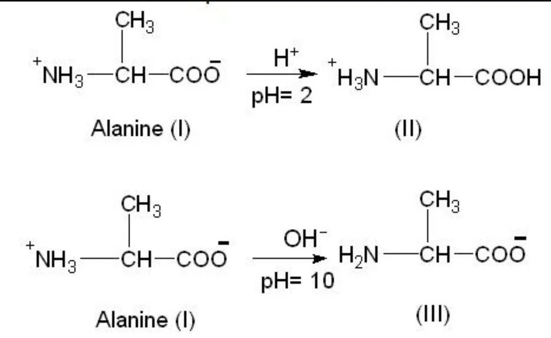 Аланин + с6h6. Ch2nh2cooh аланин. Аланин NAOH. Диссоциация аланина.