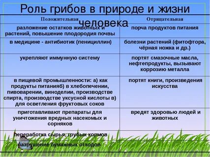 Заполните таблицу жизнь растений
