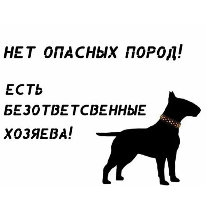 Не бывает плохого года. Не бывает плохих собак бывают плохие хозяева. Безответственный хозяин собаки.