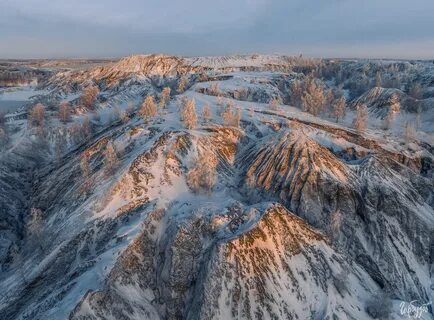 Тульская область зима