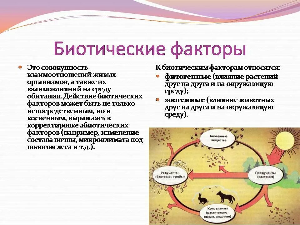 Биотический фактор природной среды. Биотические факторы. Биотические экологические факторы. Влияние биотических факторов на организм. Биотические факторы среды.