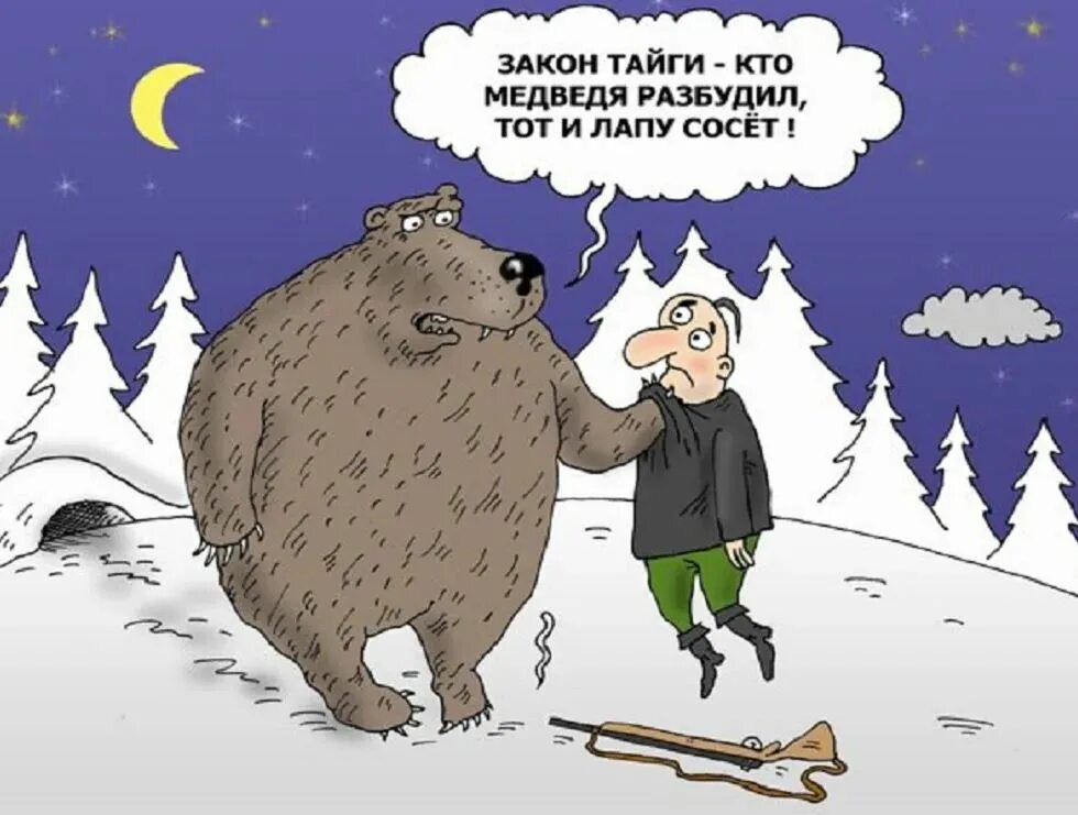 Анекдот про медведя. Медведь карикатура. шутки про мишку. анекдот про медвежонка.