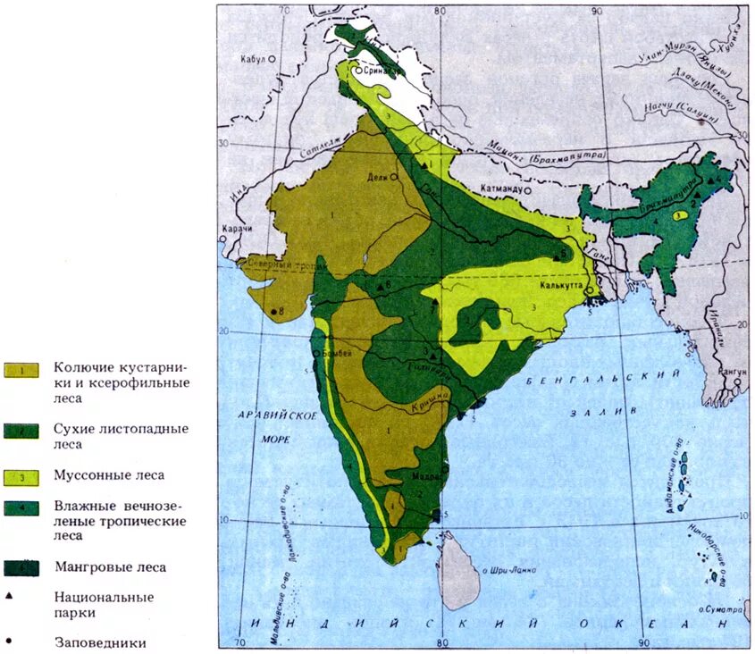 Почвенные ресурсы Индии карта. Природные зоны Индии карта. Природные зоны Индостана карта. Карта природных зон Южной Азии.