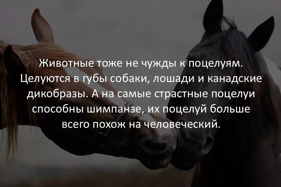 Три интересных факта