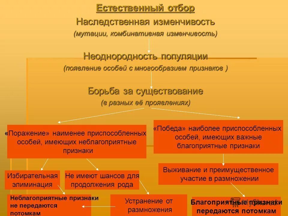 Популяционно-статистический метод в генетике пример. Вредные гены. Последовательность этапов видообразования. Этапы географического видообразования. Условия проявления генетического груза наследственных болезней.