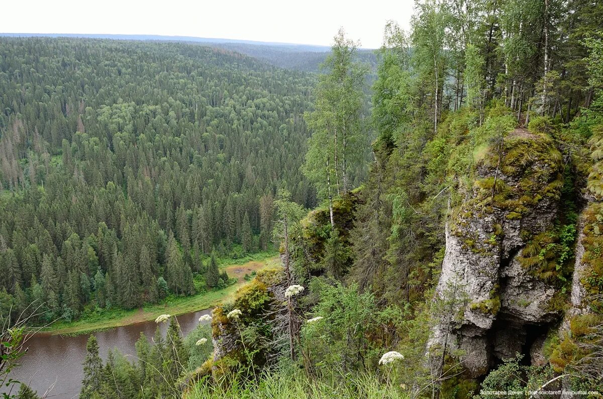 Тайга Северного Урала. Парма Тайга. Парма рельеф Урал. Тайга Южного Урала.