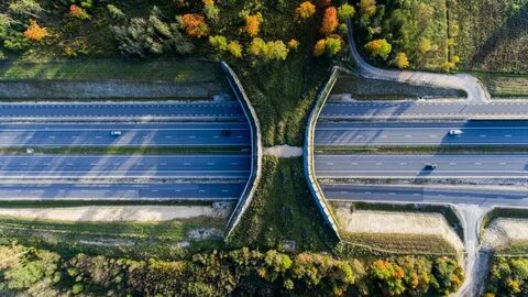 Безопасность автомобильных дорог