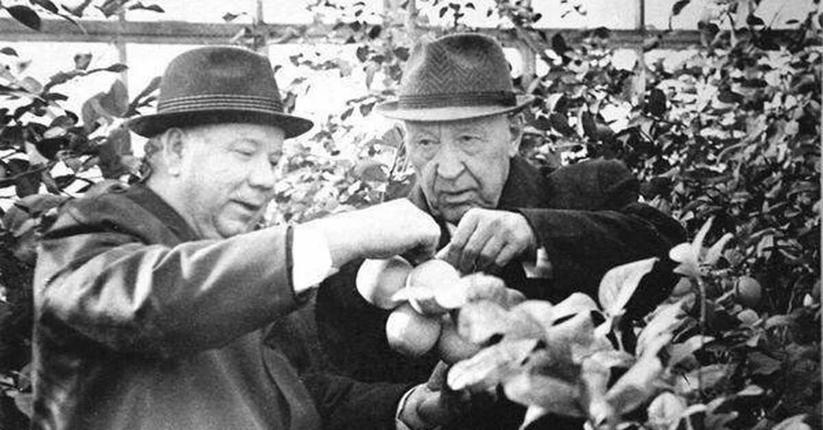 Славский википедия. Славский министр среднего машиностроения. биография славского ефима павловича.