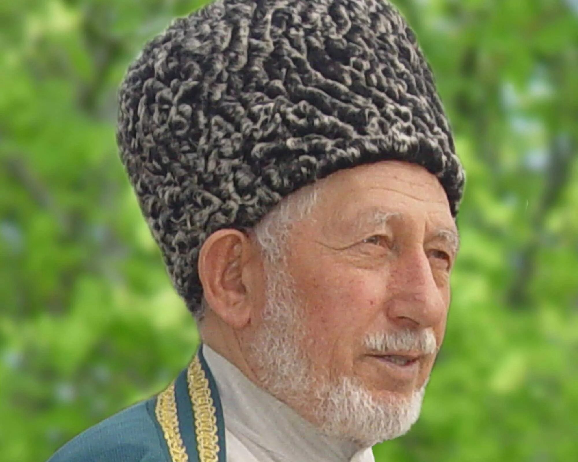 Шейх сайфулла кади. Шуайб афанди аль багини. Афанди аль. Саид афанди. Афанди аль.