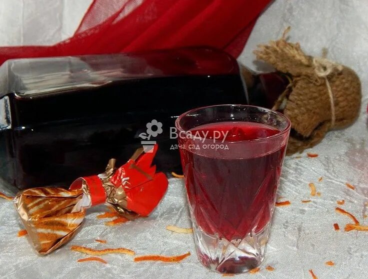 Приготовление настойки на красной. Фруктовая наливка. Вино из калины. Домашние наливки. Домашняя наливка из чёрной смородины.