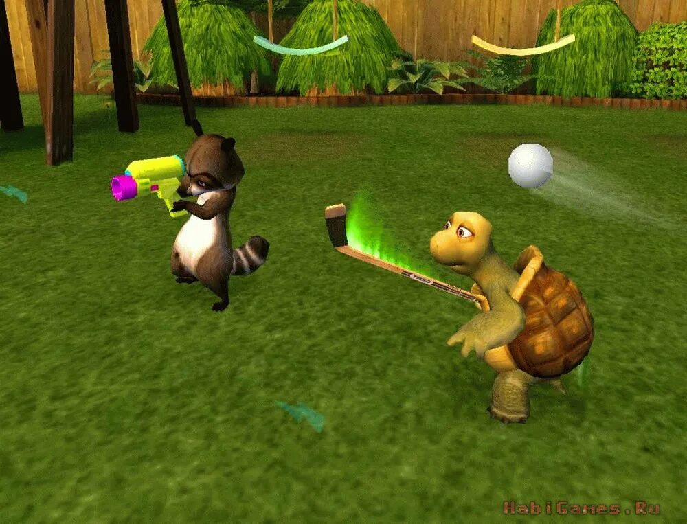 Черепаха белка. Черепаха белка